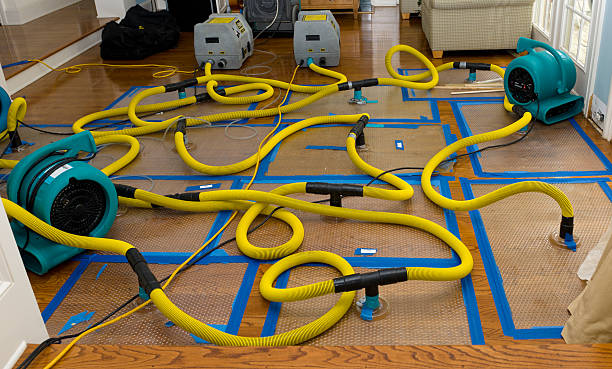Professional Crawl Space Water Removal technician working in Rockaway, NJ